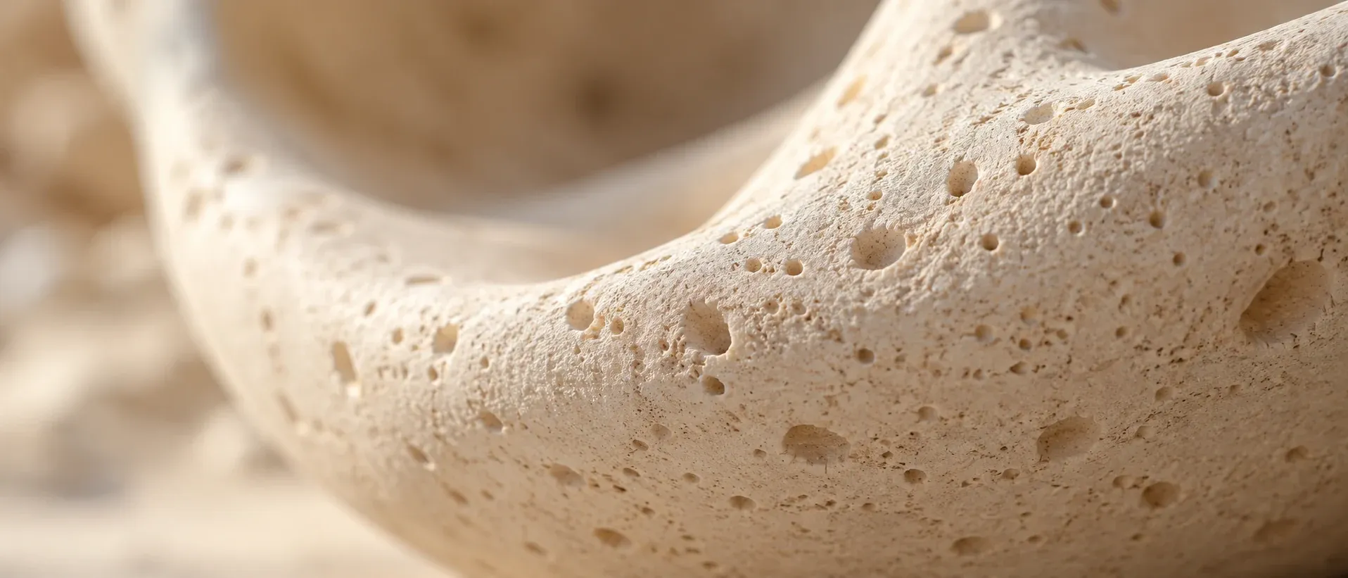 Fine open texture across pale unglazed ceramic