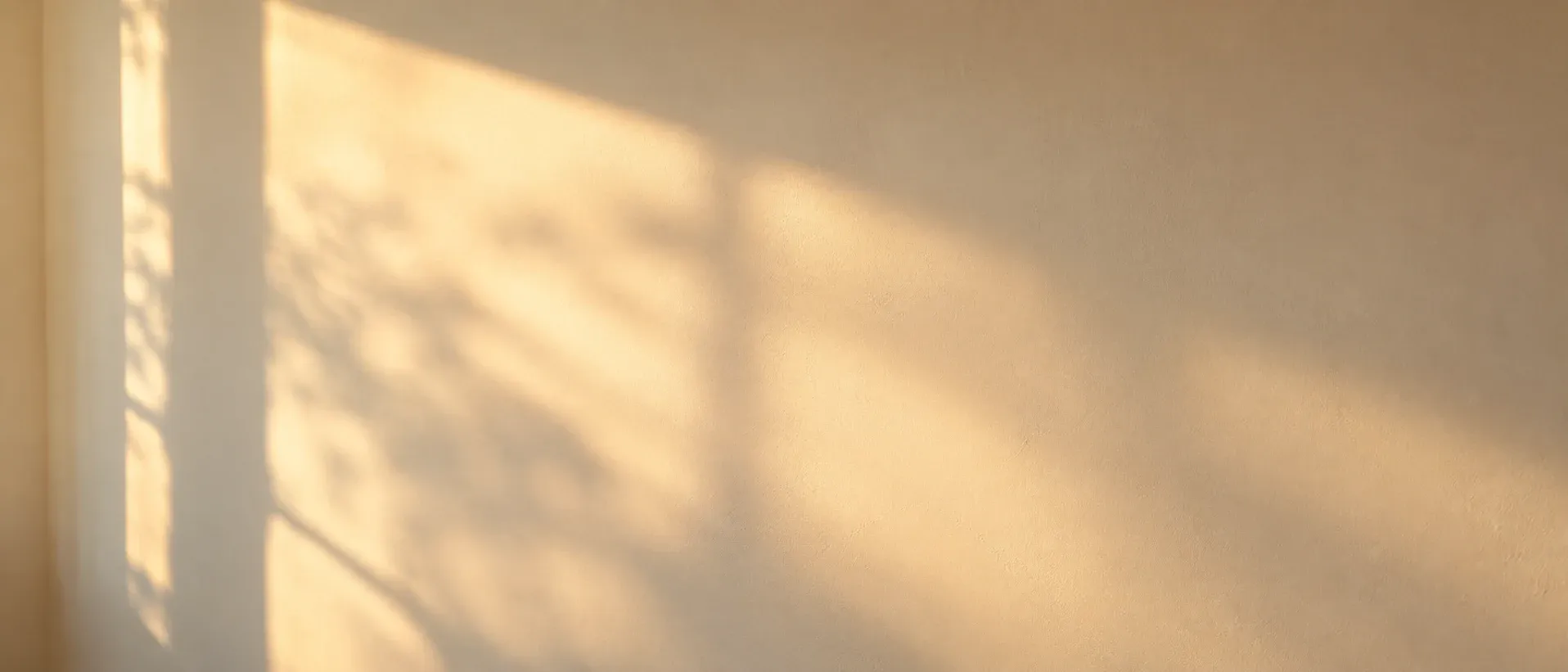Late afternoon light falling across a plain wall